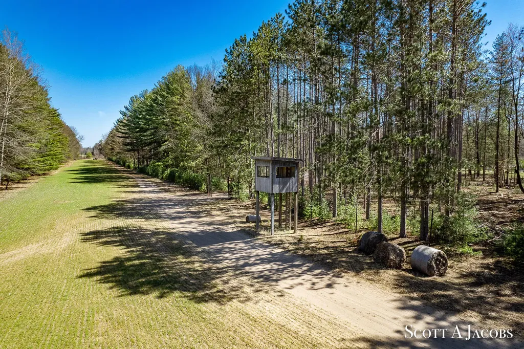 1125 Chaput Drive Orient Township MI 49679