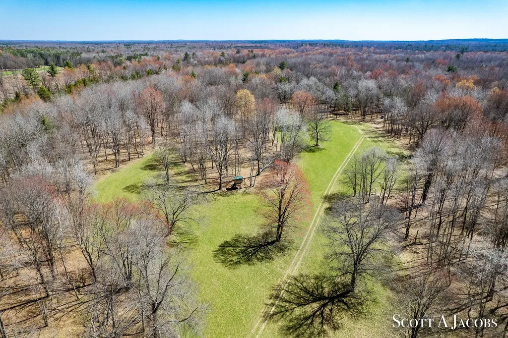 1125 Chaput Drive Orient Township MI 49679
