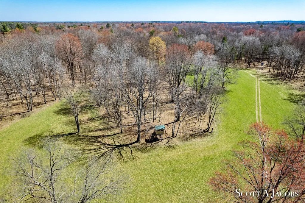 1125 Chaput Drive Orient Township MI 49679