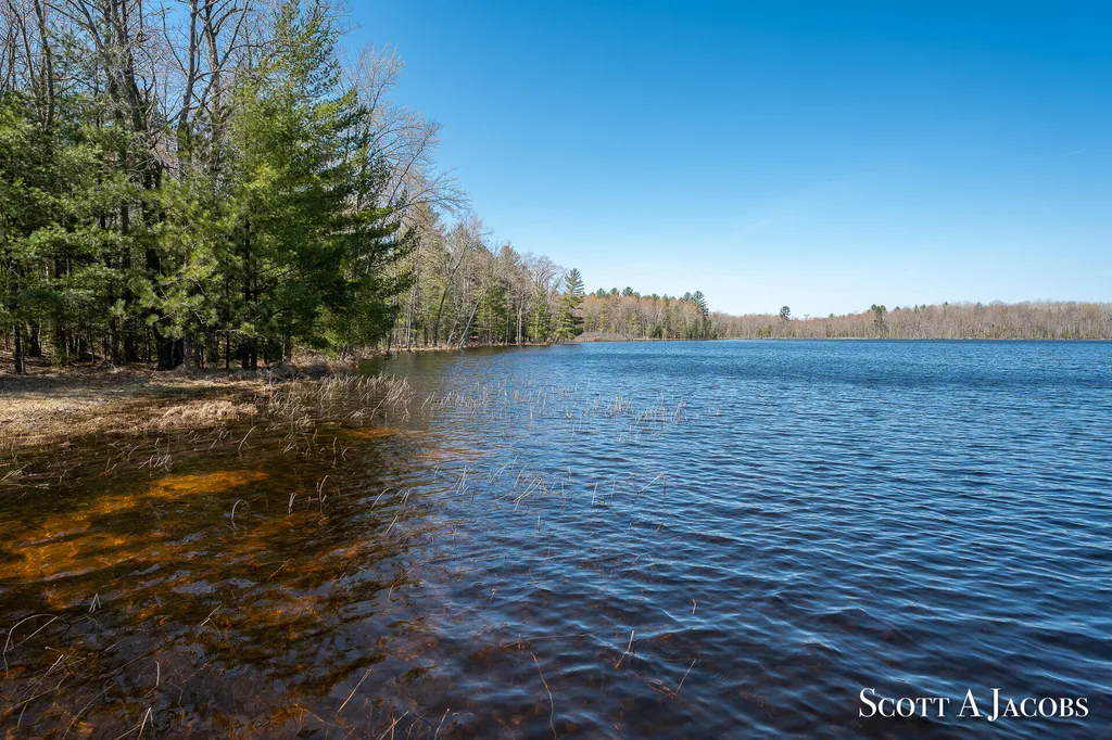 1125 Chaput Drive Orient Township MI 49679