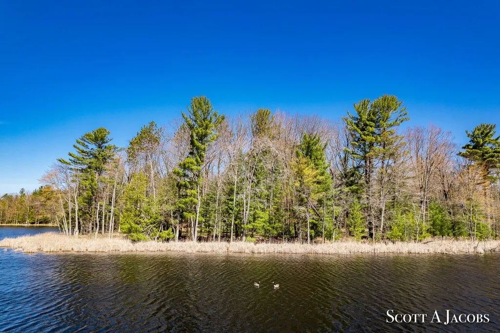 1125 Chaput Drive Orient Township MI 49679