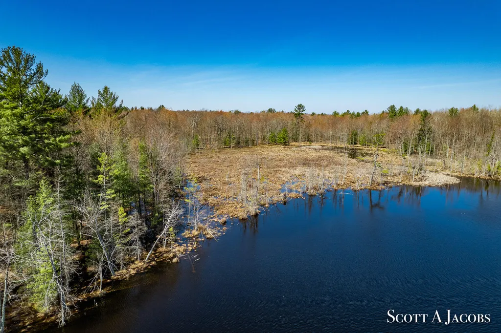 1125 Chaput Drive Orient Township MI 49679