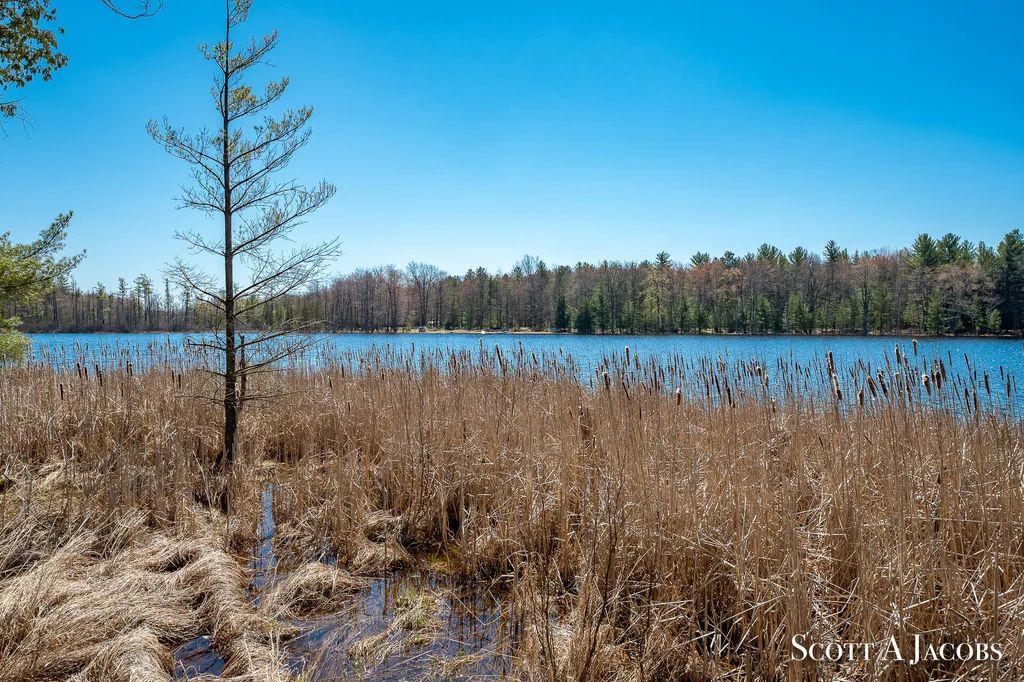 1125 Chaput Drive Orient Township MI 49679
