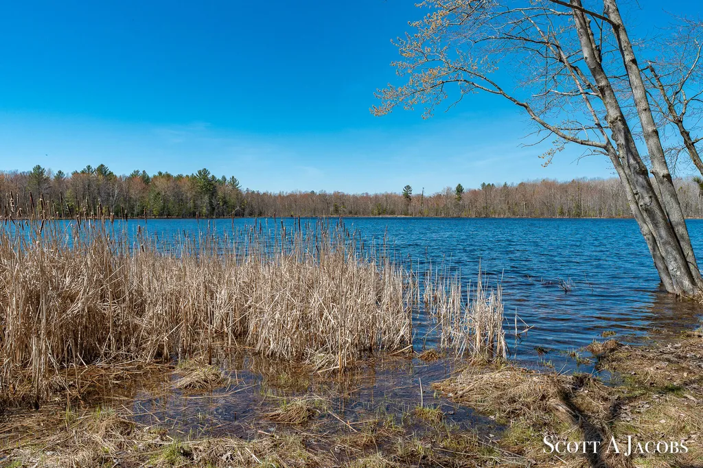 1125 Chaput Drive Orient Township MI 49679