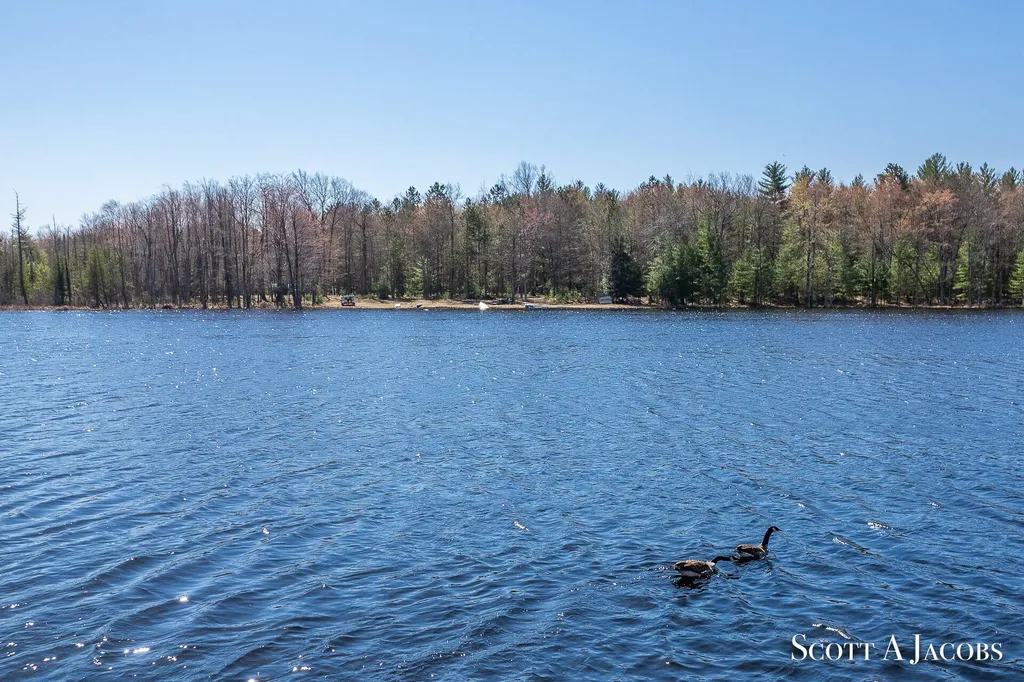 1125 Chaput Drive Orient Township MI 49679