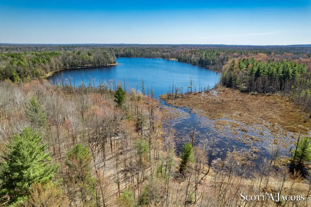 1125 Chaput Drive Orient Township MI 49679