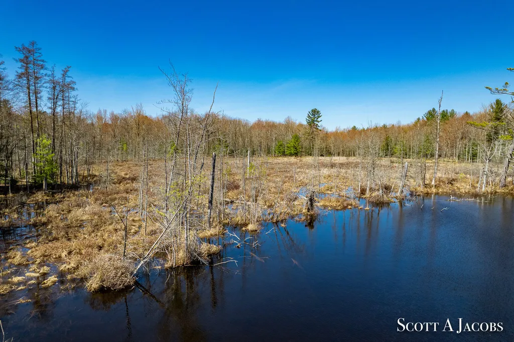 1125 Chaput Drive Orient Township MI 49679