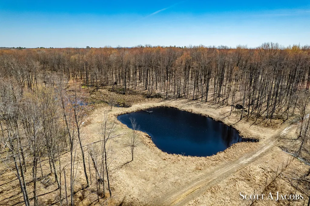 1125 Chaput Drive Orient Township MI 49679