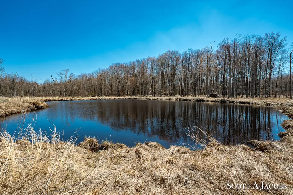 1125 Chaput Drive Orient Township MI 49679