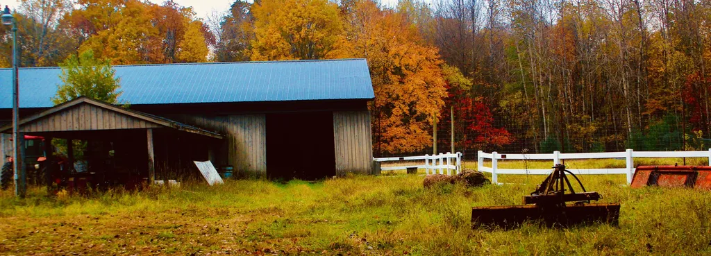 1125 Chaput Drive Orient Township MI 49679
