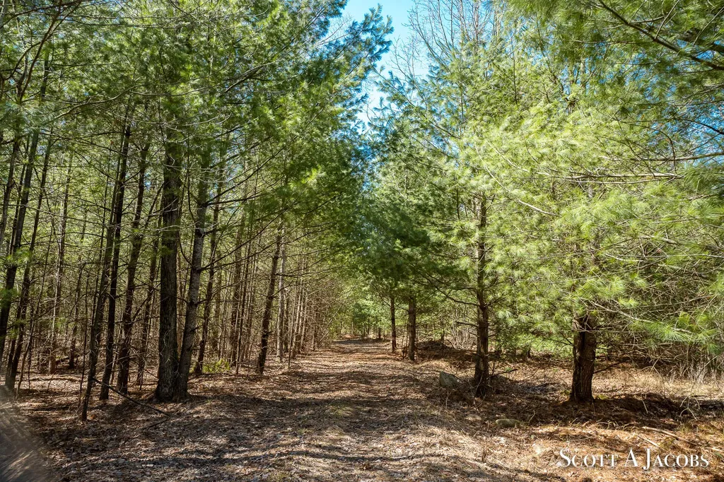 1125 Chaput Drive Orient Township MI 49679