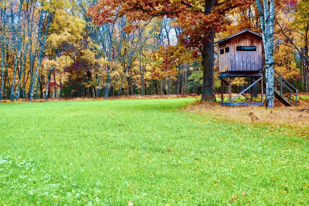 1125 Chaput Drive Orient Township MI 49679