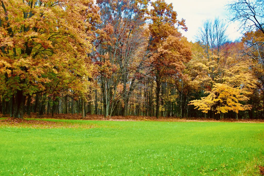1125 Chaput Drive Orient Township MI 49679