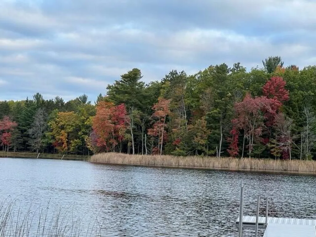 1125 Chaput Drive Orient Township MI 49679