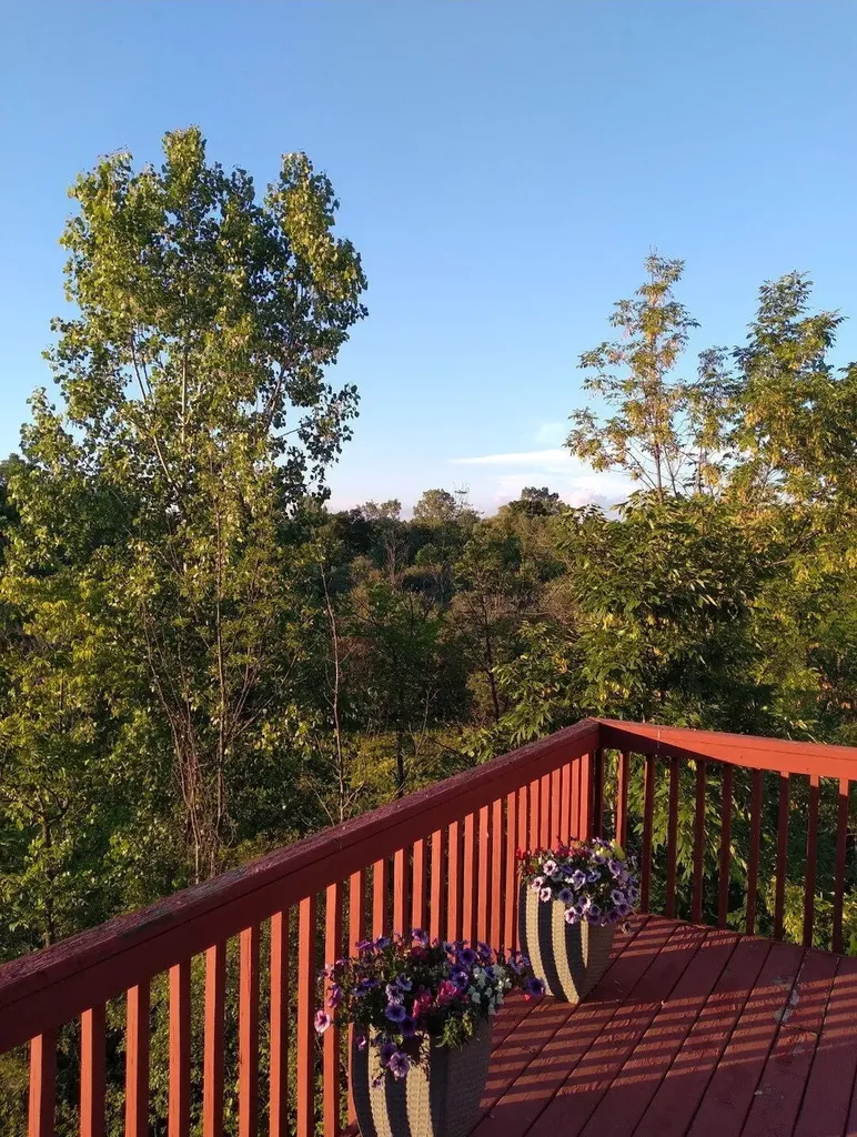 8105 Oldfield Court SE Gaines Charter Township MI 49315