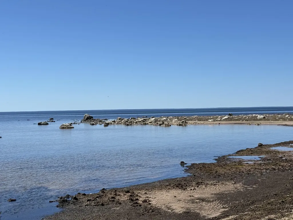 11983 Middle Beach Road Garfield Township MI 49762