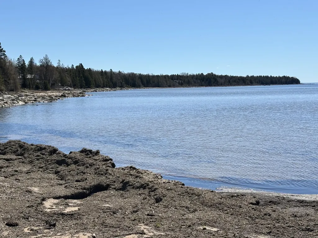 11983 Middle Beach Road Garfield Township MI 49762