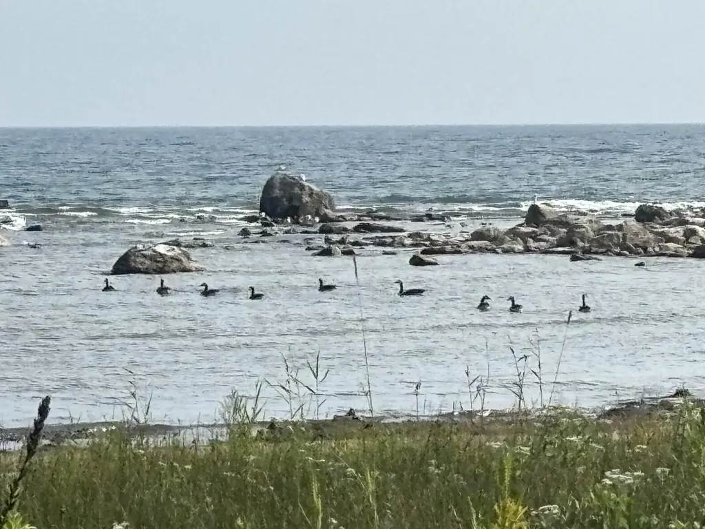 11983 Middle Beach Road Garfield Township MI 49762