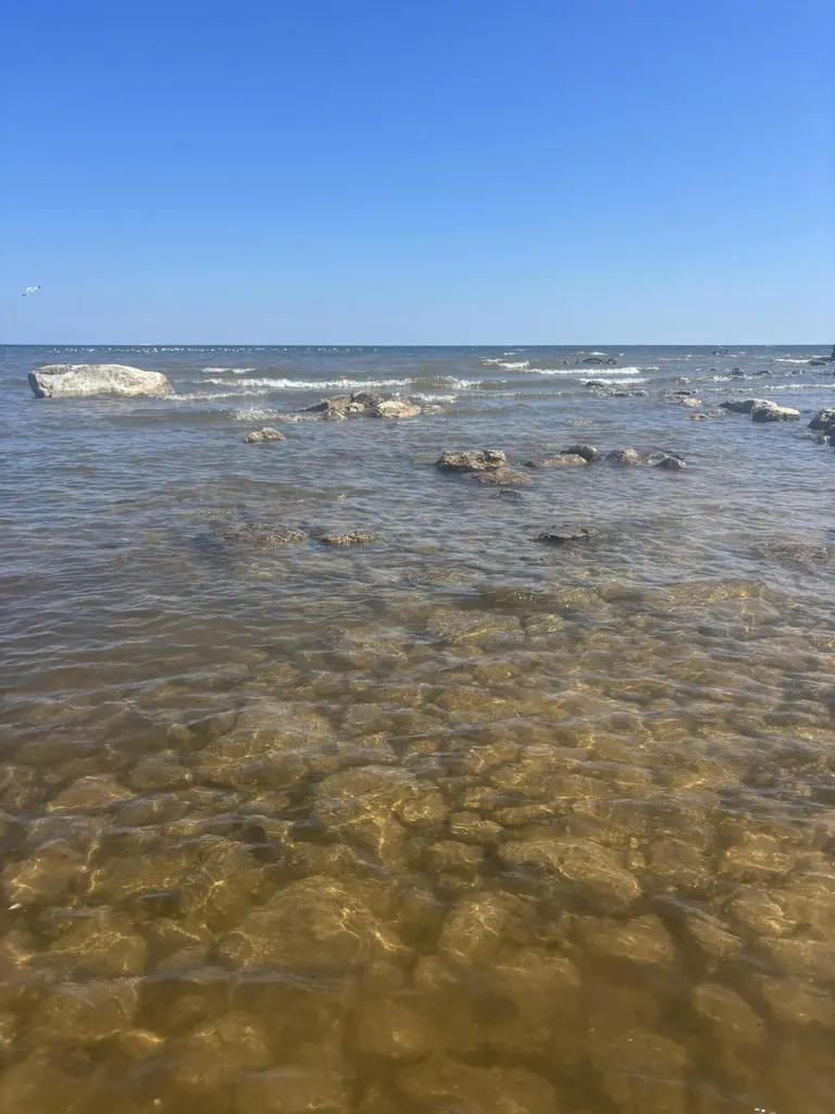11983 Middle Beach Road Garfield Township MI 49762