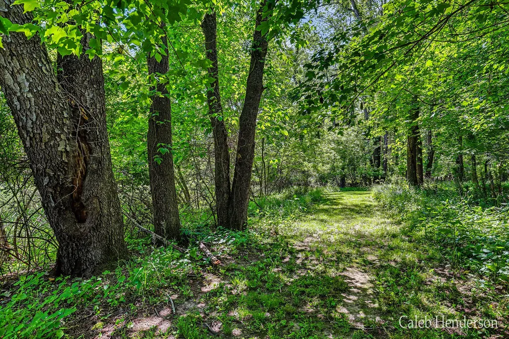 4444 2nd Street Leighton Township MI 49316
