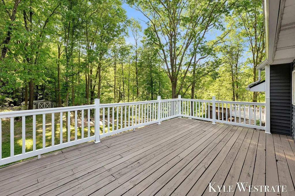 2525 Biggs Avenue NE Vergennes Township MI 49331