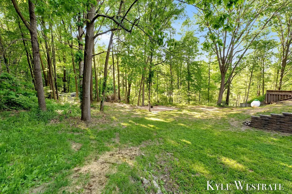 2525 Biggs Avenue NE Vergennes Township MI 49331