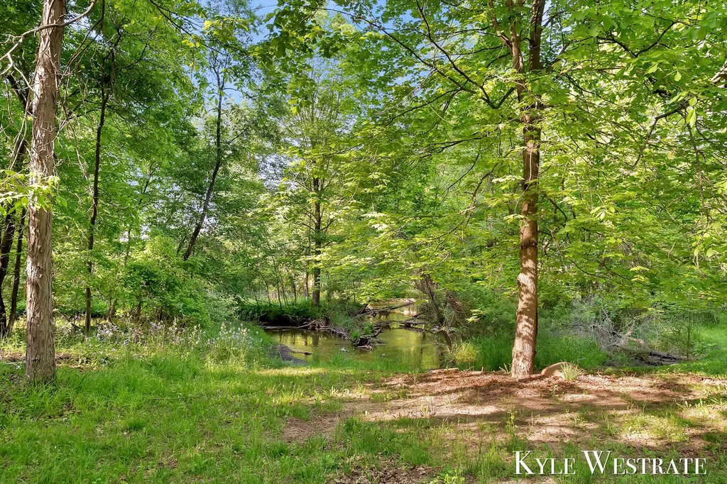2525 Biggs Avenue NE Vergennes Township MI 49331
