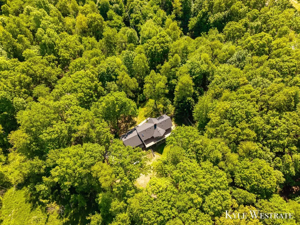 2525 Biggs Avenue NE Vergennes Township MI 49331