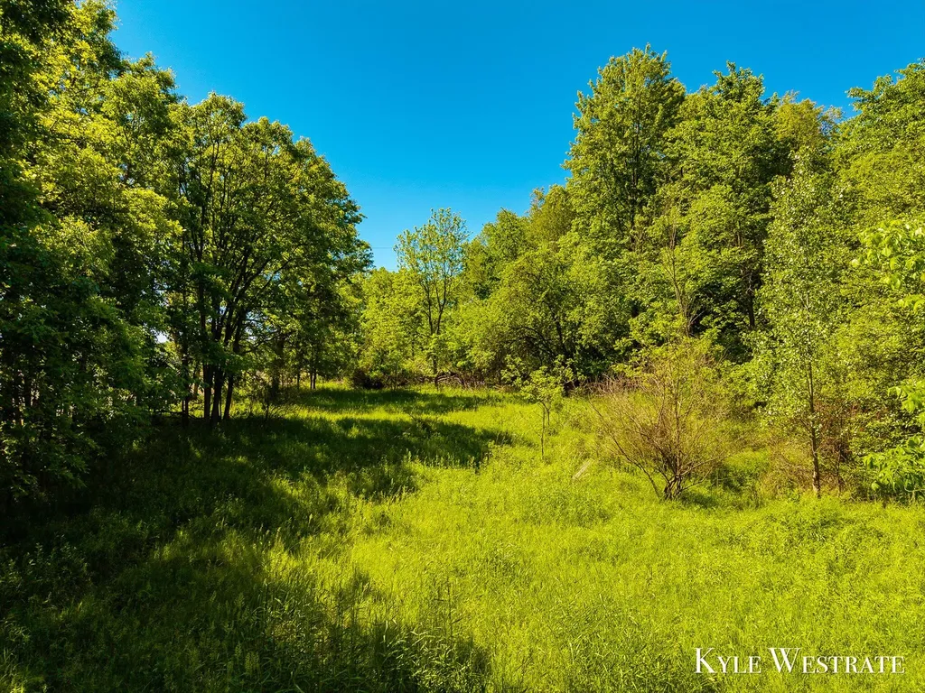 2525 Biggs Avenue NE Vergennes Township MI 49331