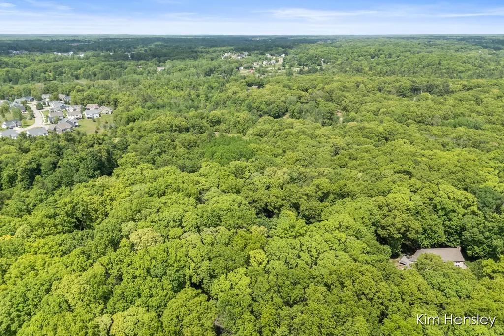 8160 Oakview Ridge Drive NE Cannon Township MI 49341