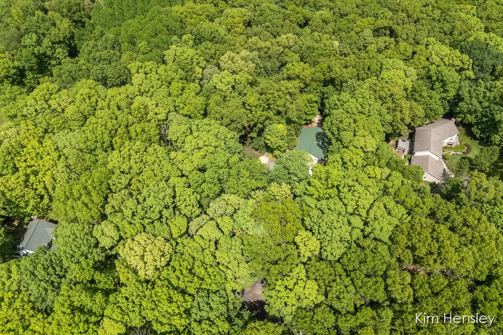8160 Oakview Ridge Drive NE Cannon Township MI 49341