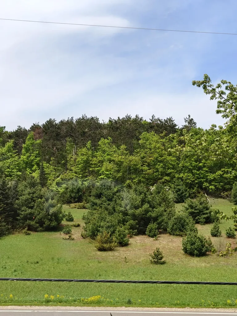 3012 Wildwood Harbor Road Evangeline Township MI 49712