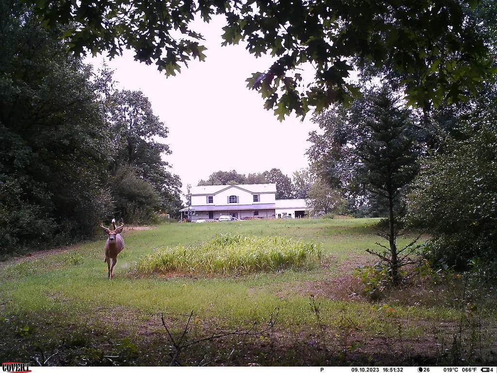 4654 W Woods Road Sidney Township MI 48885