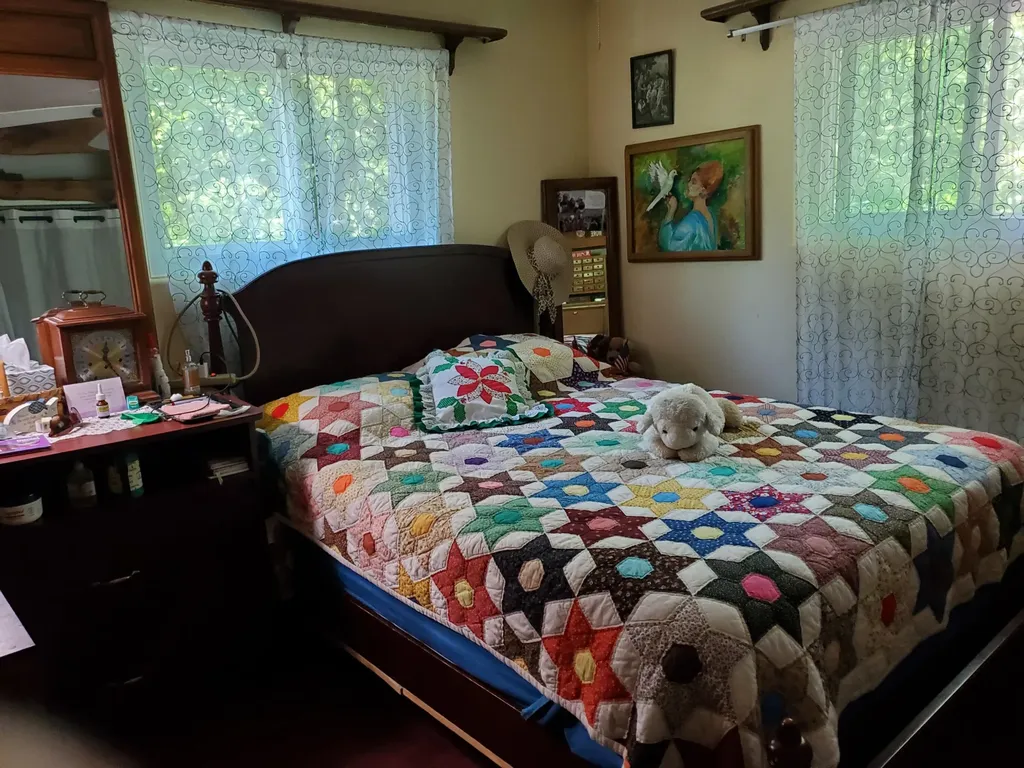 9173 220th Avenue Mecosta Township MI 49346