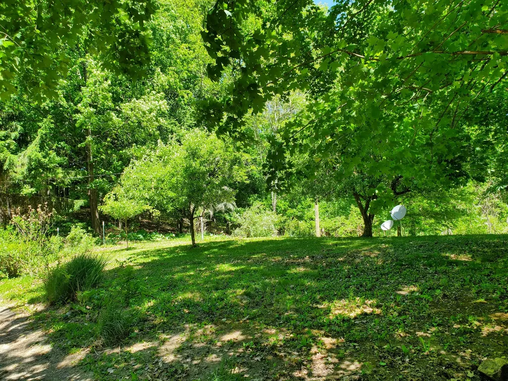 9173 220th Avenue Mecosta Township MI 49346