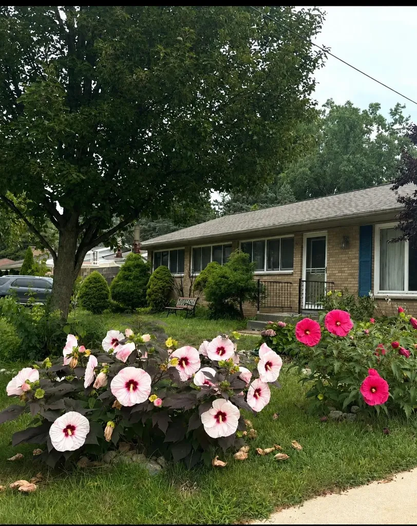 1906 Andrew Street SE Kentwood City MI 49508