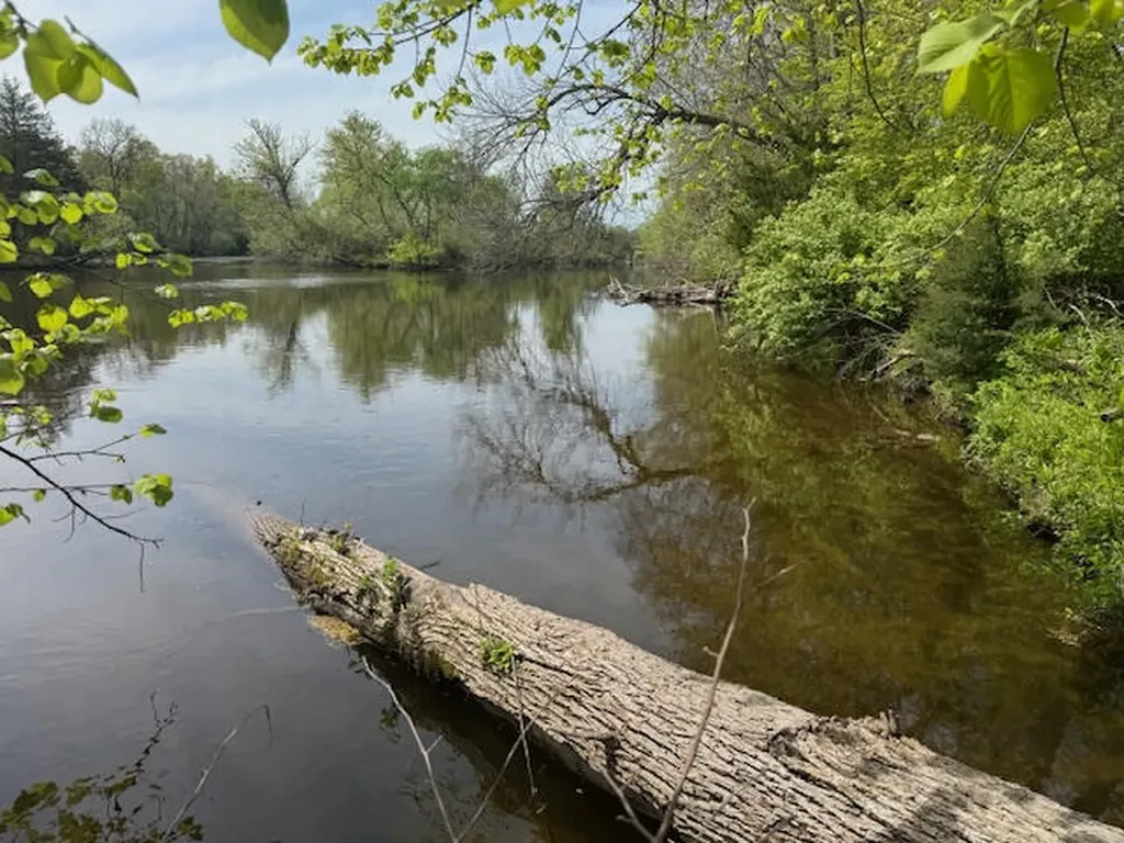 879 Flat River Court SE Vergennes Township MI 49331