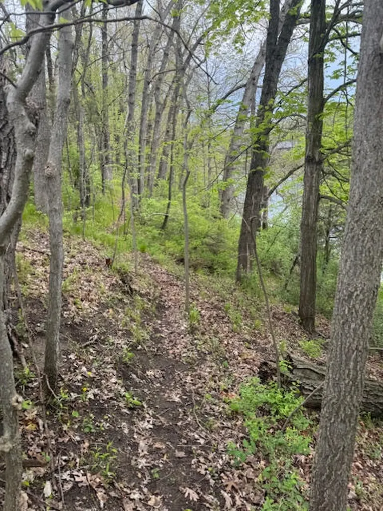 879 Flat River Court SE Vergennes Township MI 49331