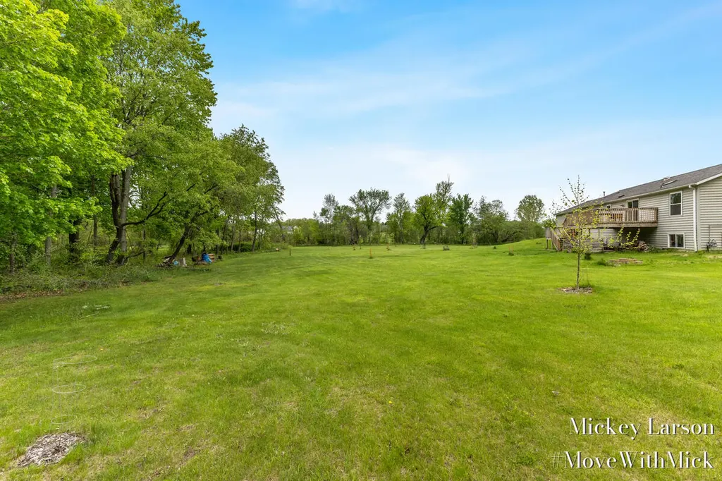 1382 Dairy Lane NE Solon Township MI 49319