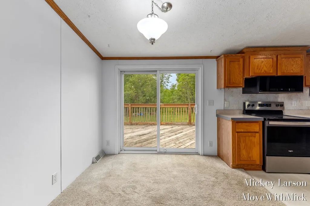 1382 Dairy Lane NE Solon Township MI 49319