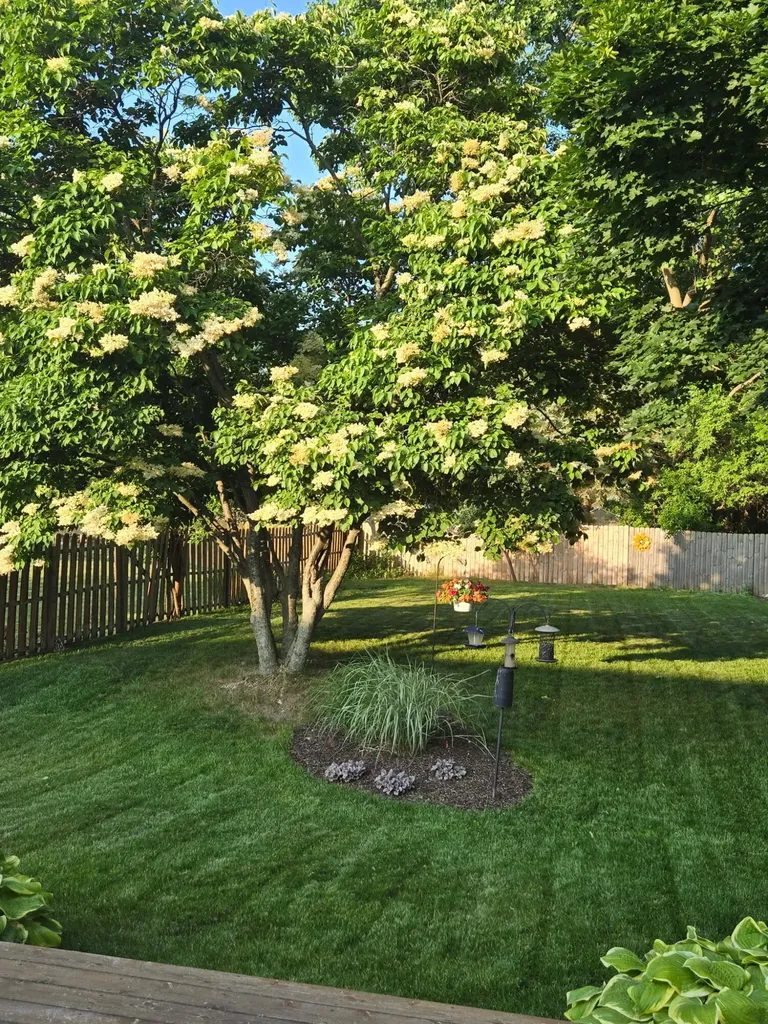 3232 Brook Trail SE Grand Rapids City MI 49508
