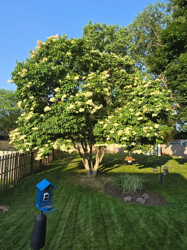 3232 Brook Trail SE Grand Rapids City MI 49508