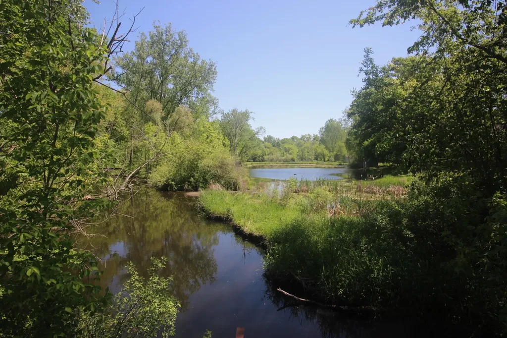 4861 Chauncey Drive NE Cannon Township MI 49306