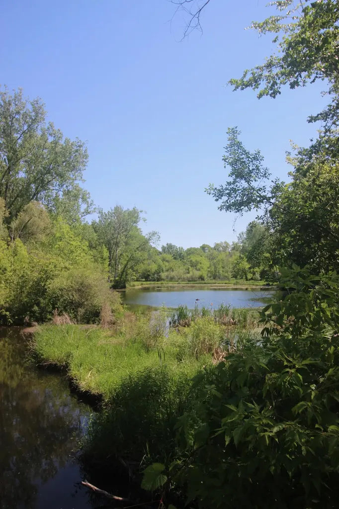 4861 Chauncey Drive NE Cannon Township MI 49306