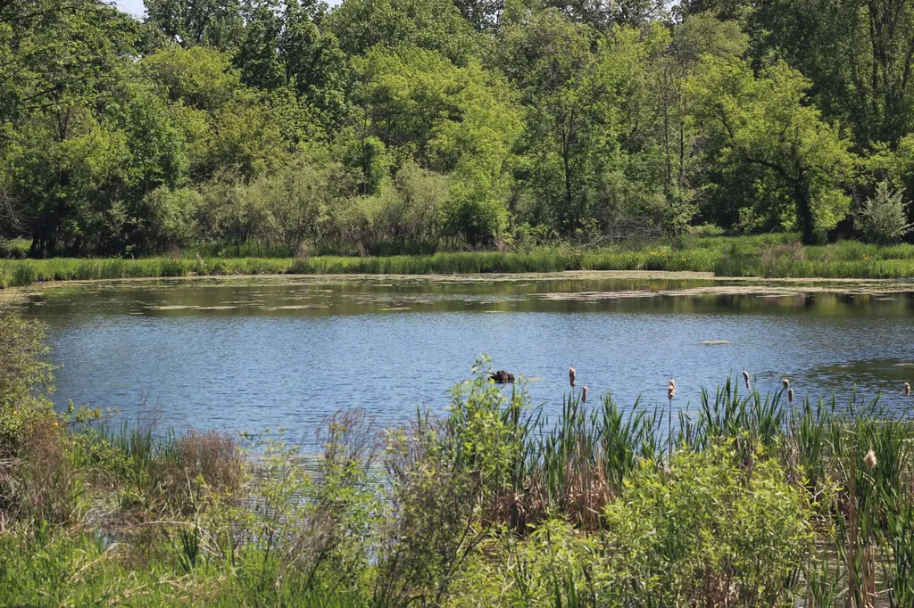 4861 Chauncey Drive NE Cannon Township MI 49306