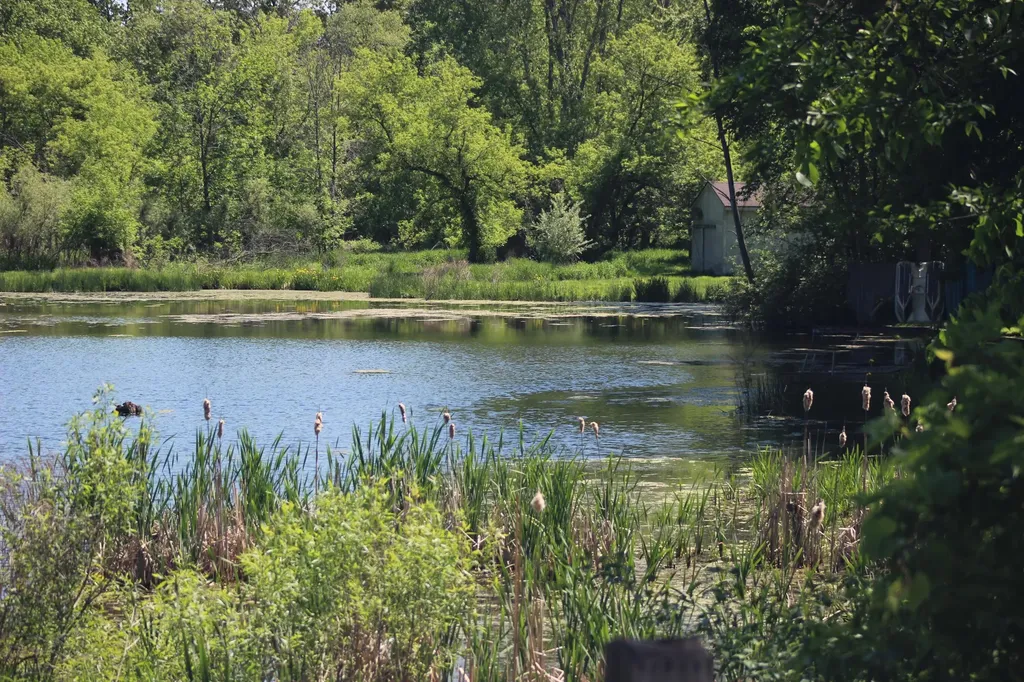 4861 Chauncey Drive NE Cannon Township MI 49306