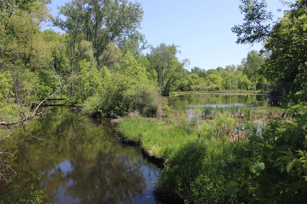 4861 Chauncey Drive NE Cannon Township MI 49306