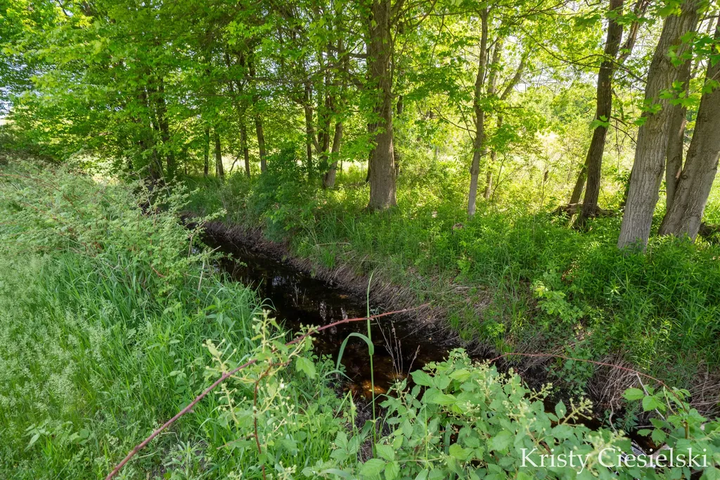 2162 S Stone Road Dayton Township MI 49412