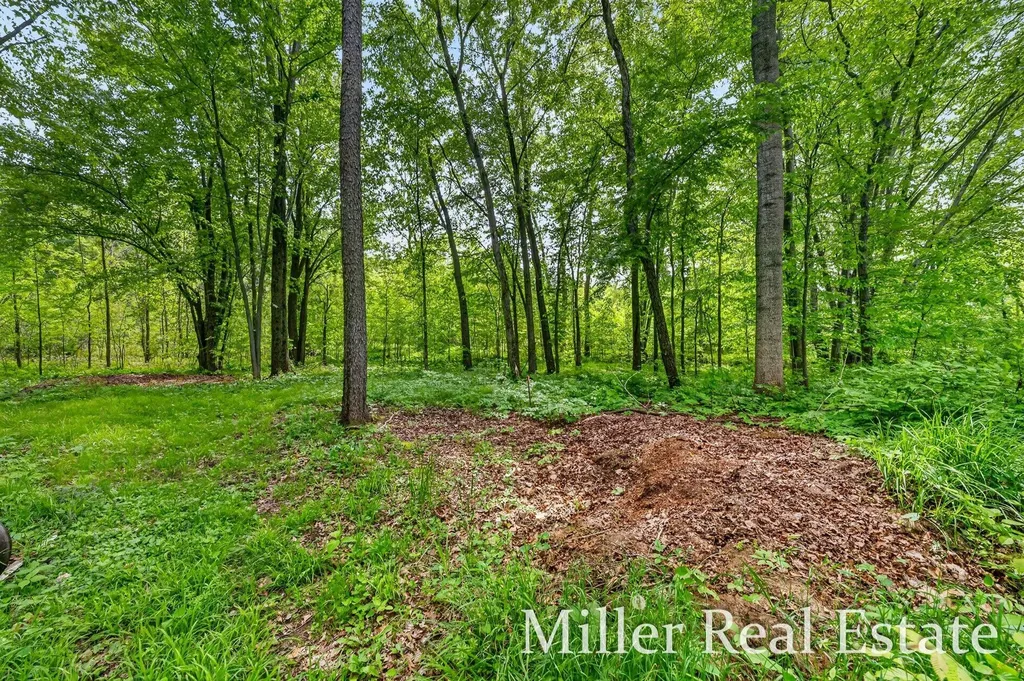 2801 Lower Lake Road Carlton Township MI 49058