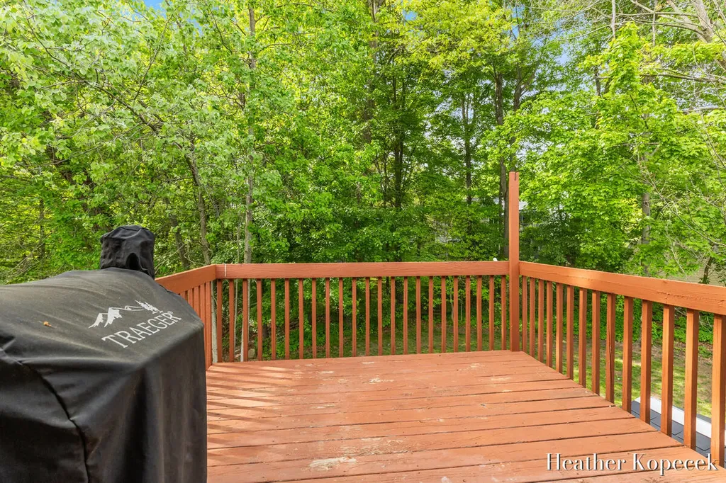 1663 Barnsley Court SE Lowell Charter Township MI 49331
